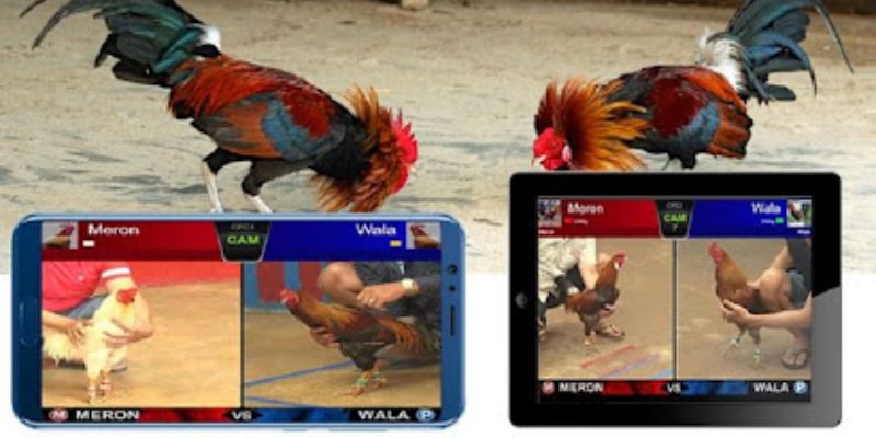 Cách thức cá cược số vòng đấu